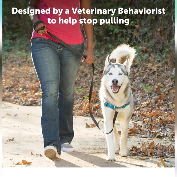 Petsafe Easy Walk Dog Harness with D-Ring Reflective Size M/L - Picture 4 of 12